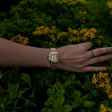 Sara® Calista - Ines Braga